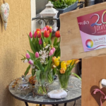 20 Jahre BALANCE