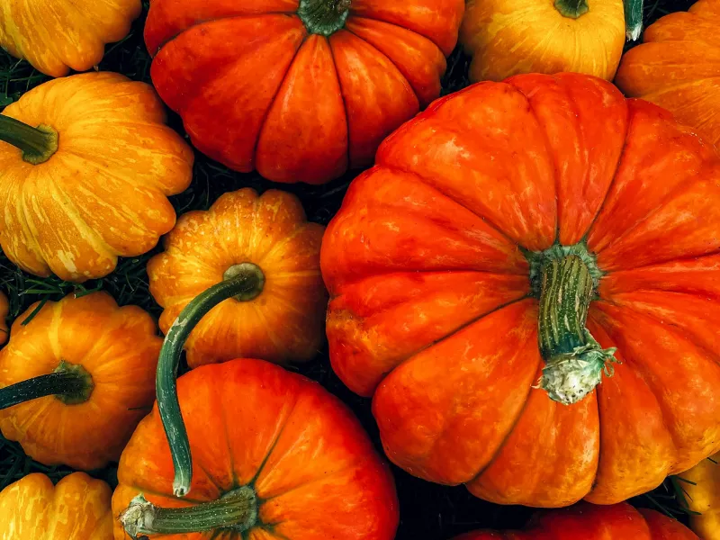 Farbe Orange – Lebensfreude, Reinigung und Veränderung