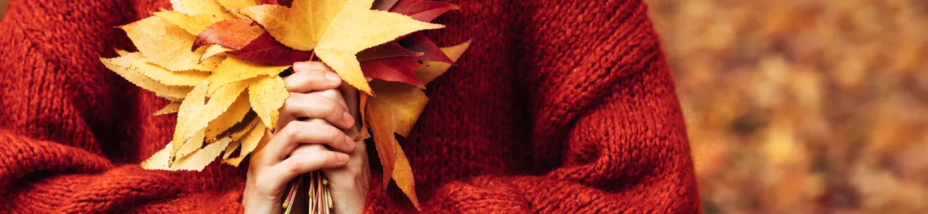 Farben im Herbst