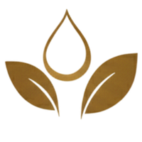 icon 1 Naturkosmetik kaufen, Behandlungen buchen Naturkosmetik - Balance Dresden